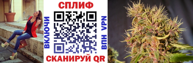 Галлюциногенные грибы Новосибирск