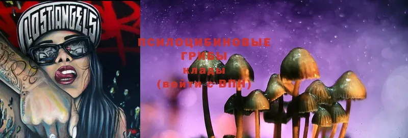 Галлюциногенные грибы Magic Shrooms  купить  цена  Новосибирск 