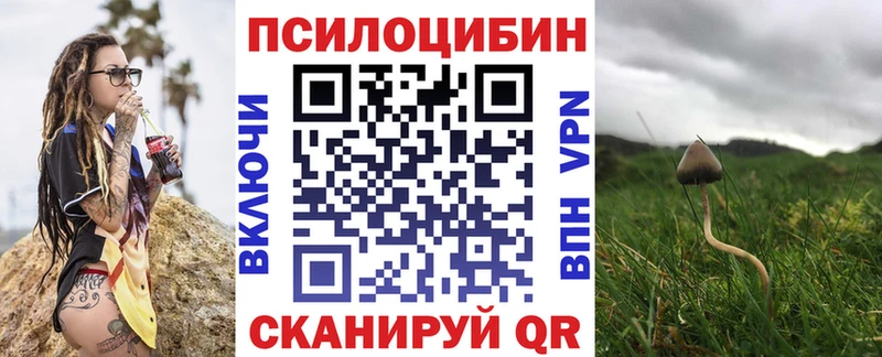 KRAKEN вход  Новосибирск  Галлюциногенные грибы GOLDEN TEACHER 
