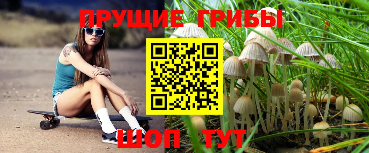 Канабис Новосибирск