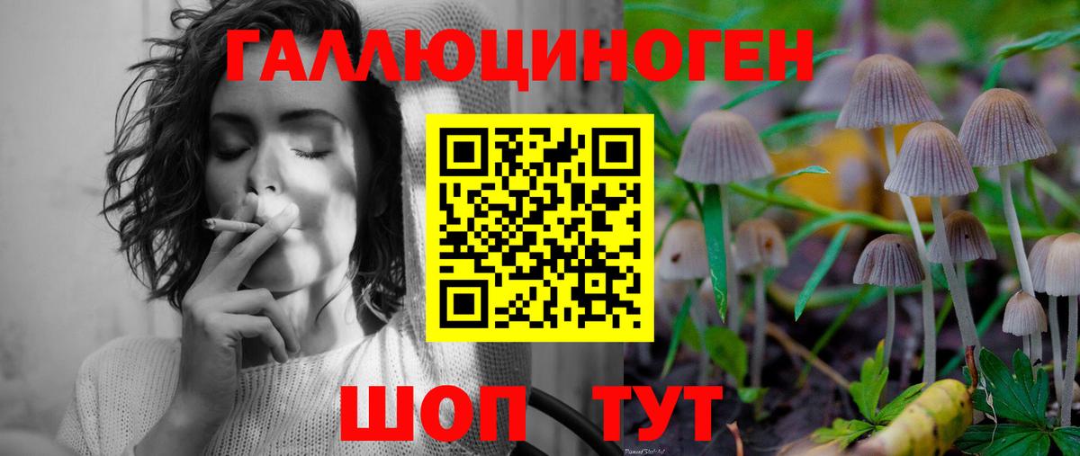 Галлюциногенные грибы Magic Shrooms Новосибирск