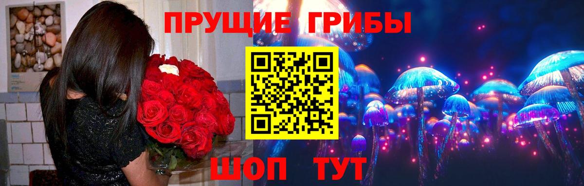 Новосибирск  Псилоцибиновые грибы прущие грибы  Галлюциногенные грибы GOLDEN TEACHER  Вход с VPN 