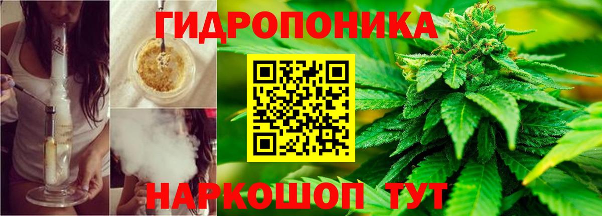 Марихуана Новосибирск